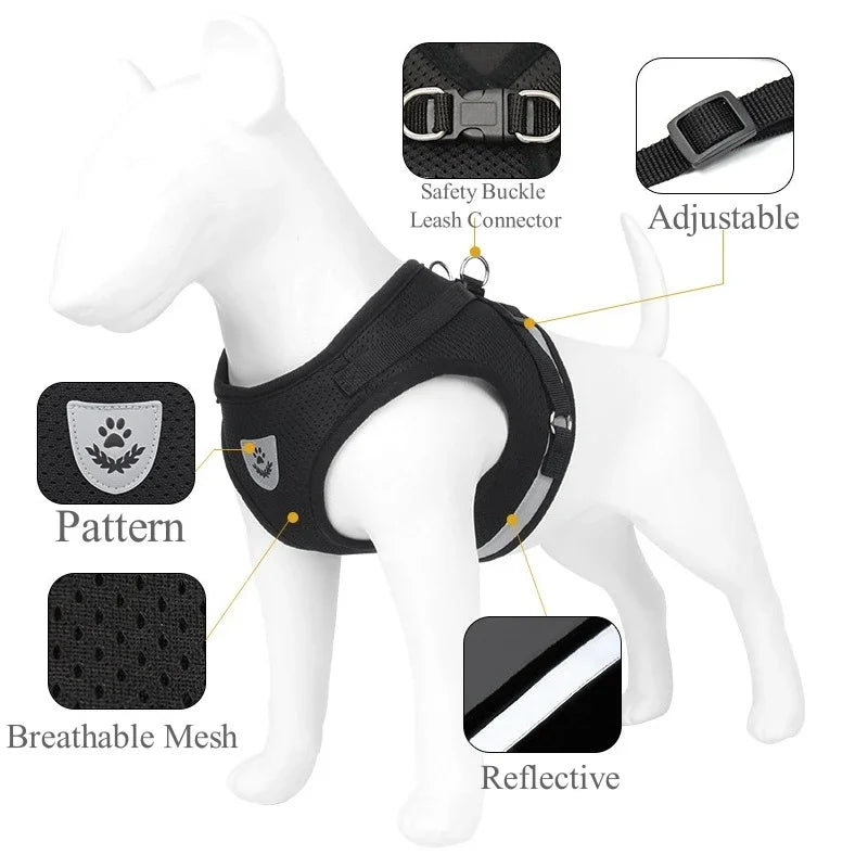 Adjustable Pet Dog Harness and Leash Set- Harness Vest for Dogs-Collars/Leashes