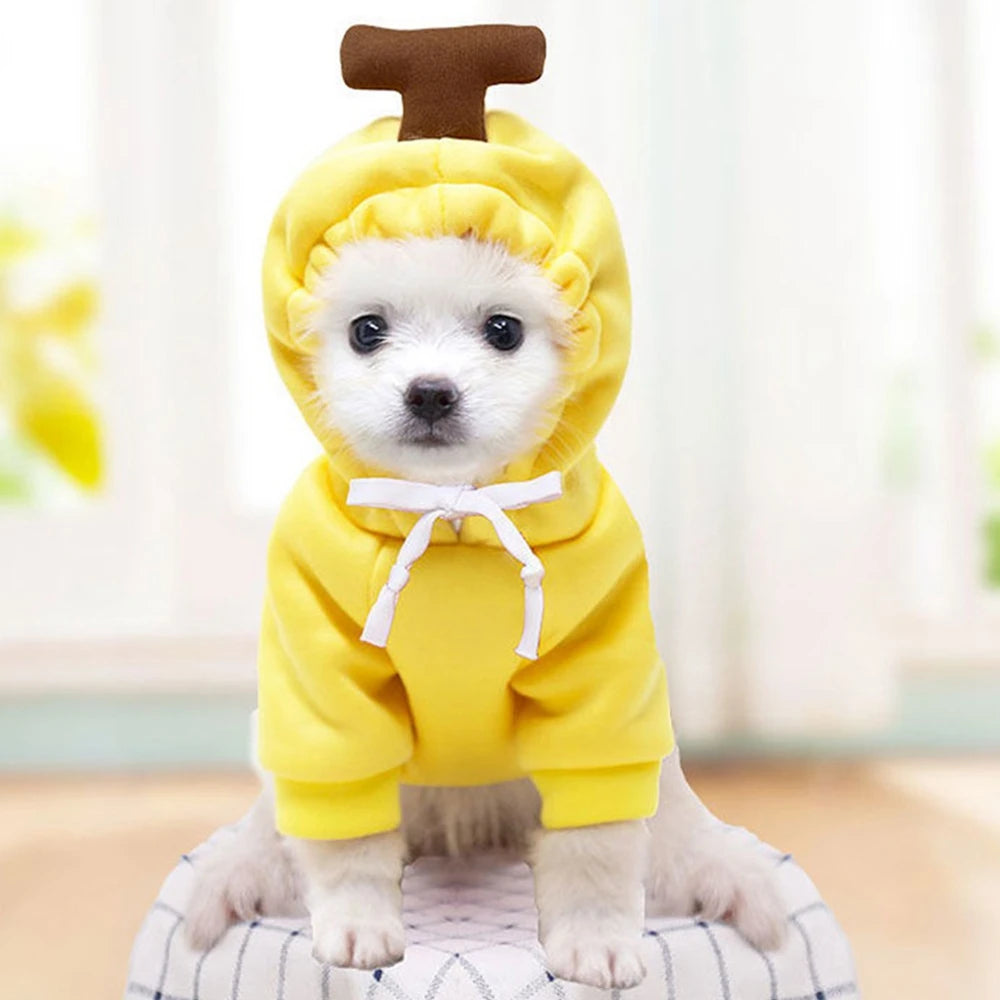 Costume Hoodies Clothes- Cute Plush Coat Hoodies-Pet Costume Jacket For Puppy Cat French Bulldog Chihuahua Small Dog Clothing