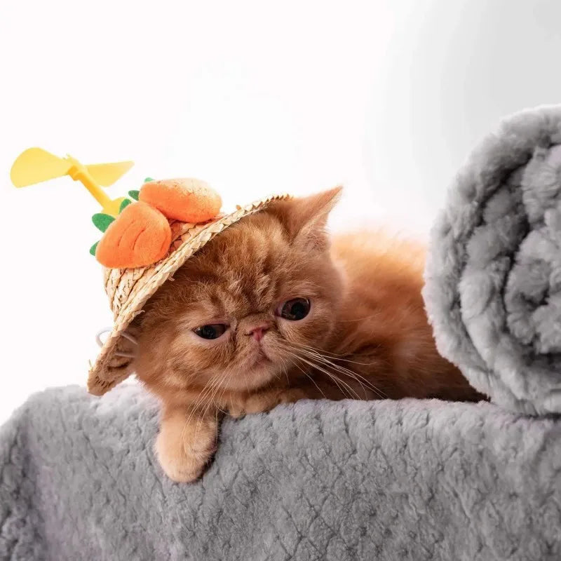 Warm Soft Fuzzy Blankets for Pets- Small Medium Dogs- Fleece- Plush Throws for Bed Couch Sofa Blanket-Beds & Blankets