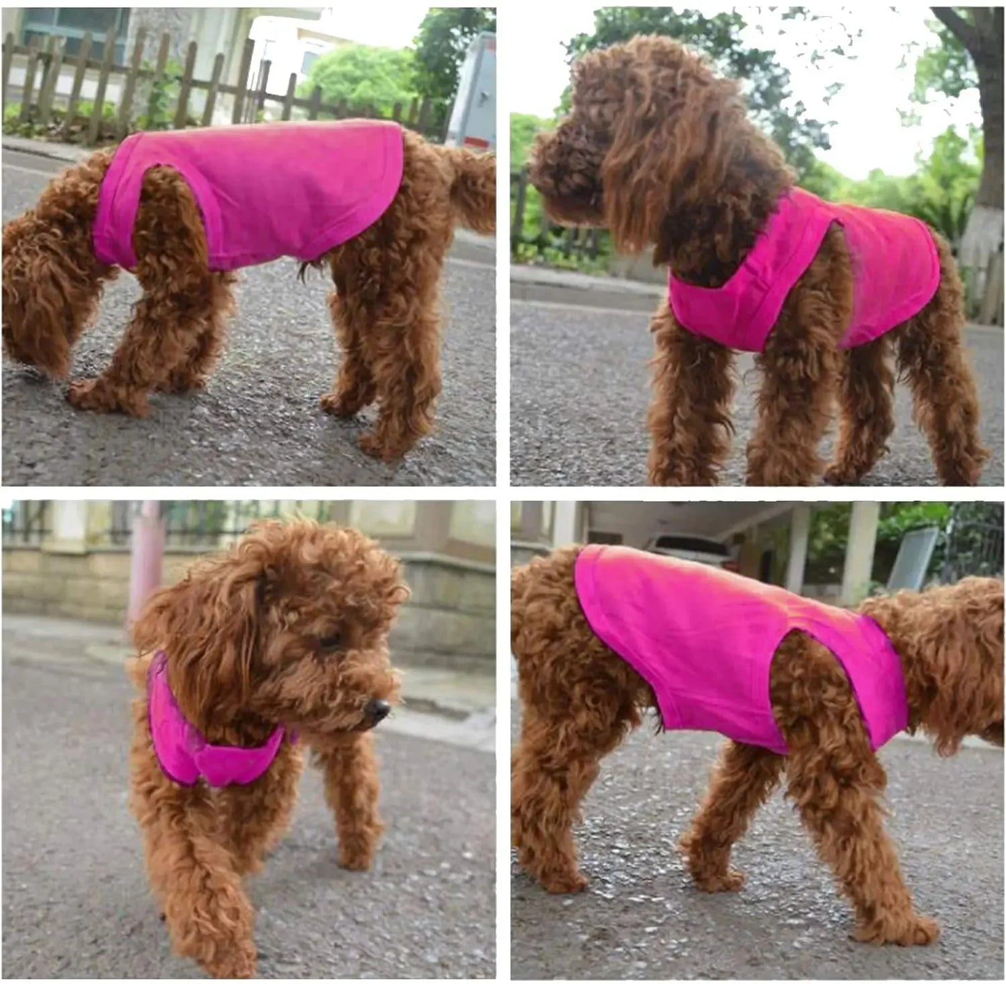 Summer Pure Cotton Dog Vest T-Shirt-Sizes XS-3XL-Costumes/Apparel