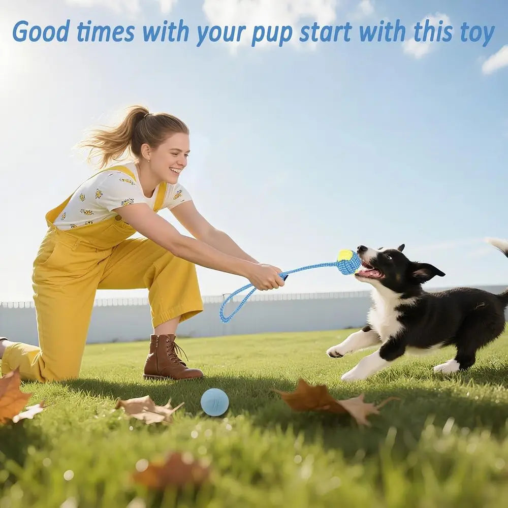 Cute 20 Pack Puppy Chew Toys - Blue Dog Teething Toys- Teething Rings/Ropes-Rubber Toy Bundle for Small Dogs-Dog Toys