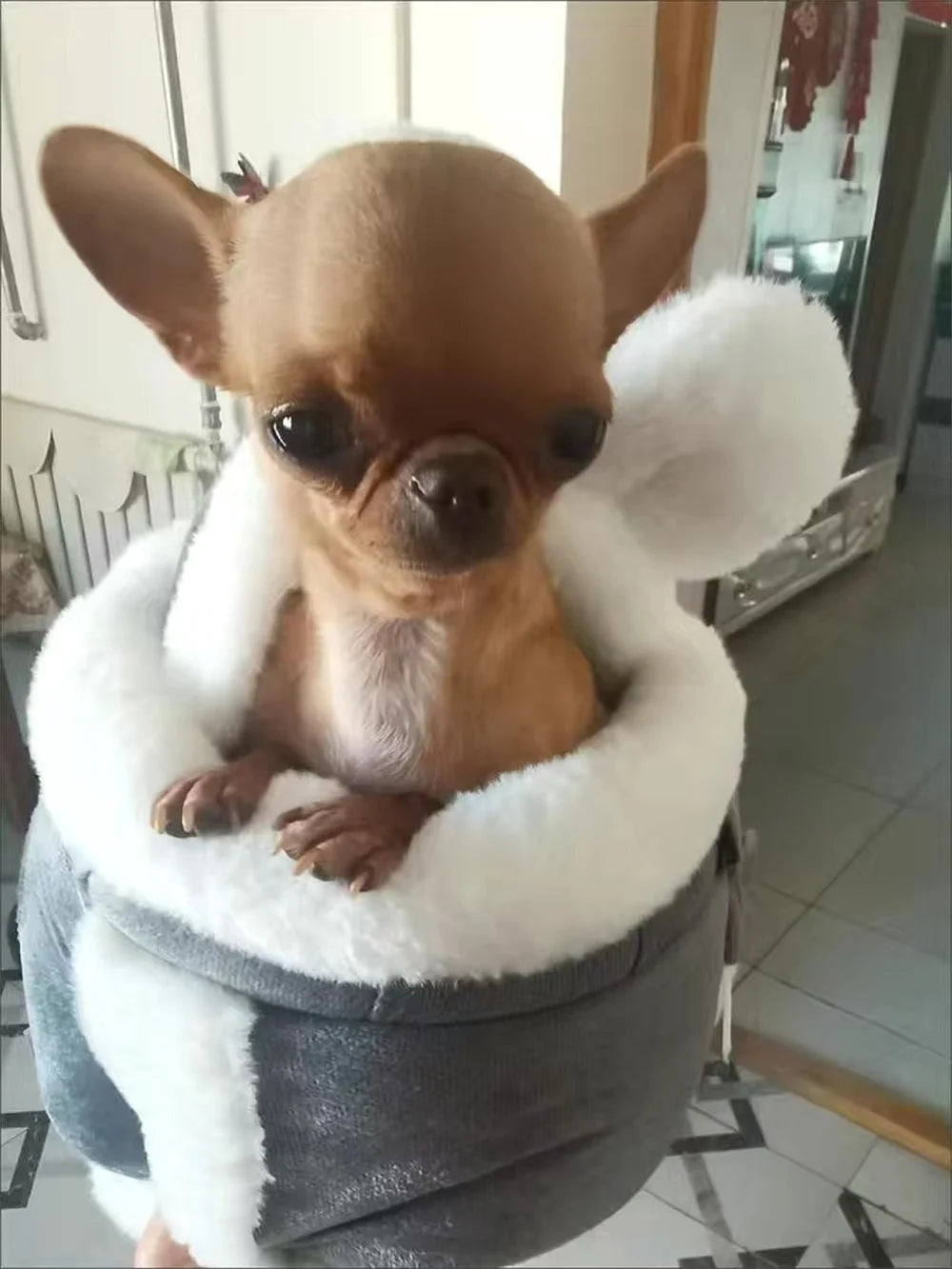 Outdoor Travel Chihuahua Puppy Dog Carrier- Backpack-Carrying Bags for Small Dogs -Pet Car Seat