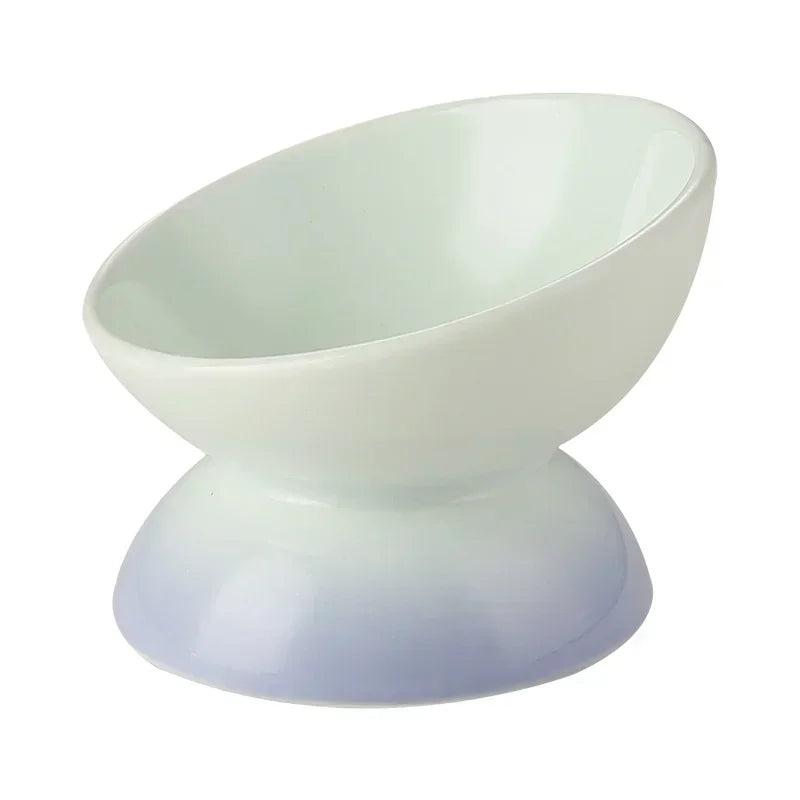 Tilted  Puppy Food  Feeders- Gradient Ceramic- Raised Eating Pet Dogs Drinking or Feeding- Small
