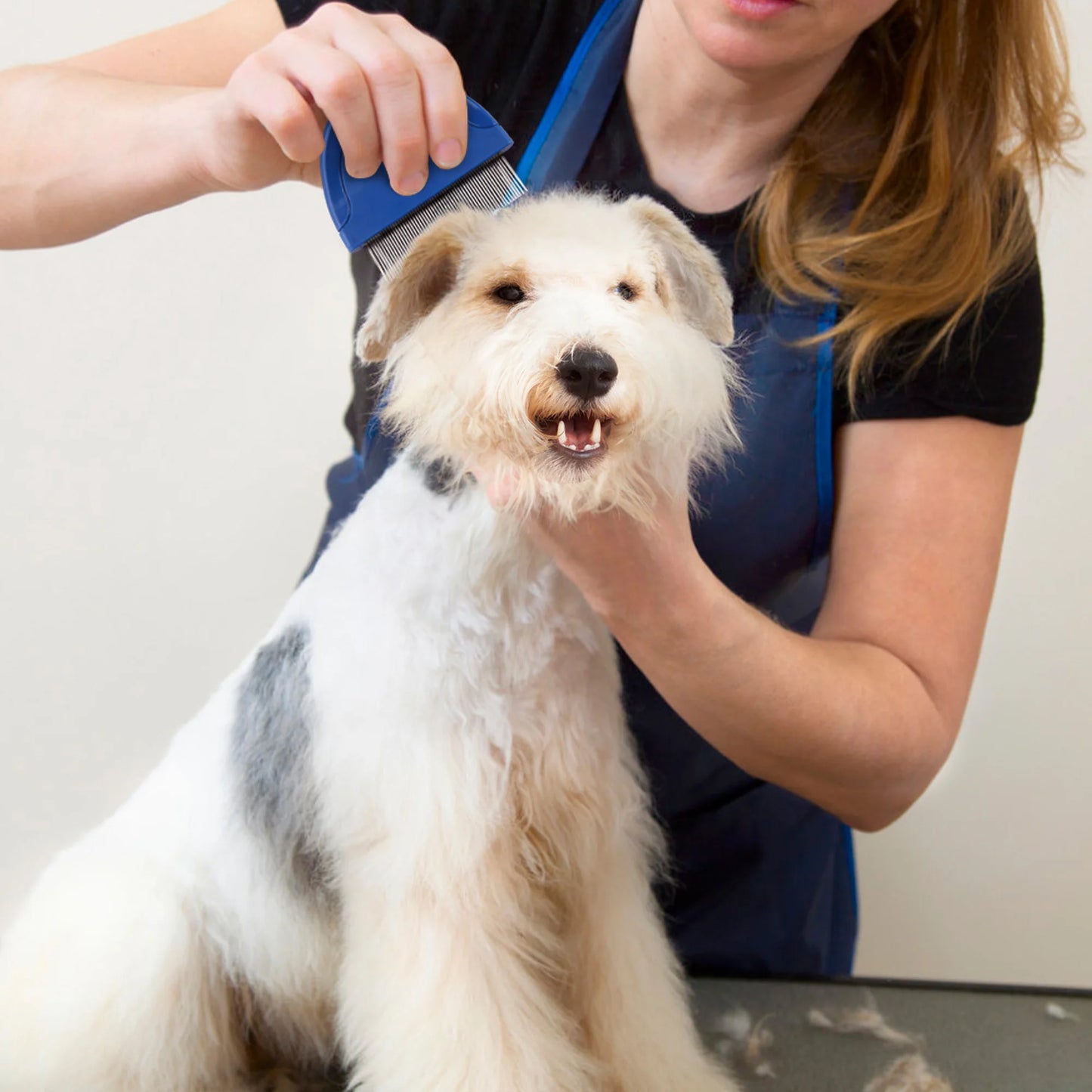Flea Comb for Dog- Pet Hair Removal Comb-Pet Grooming