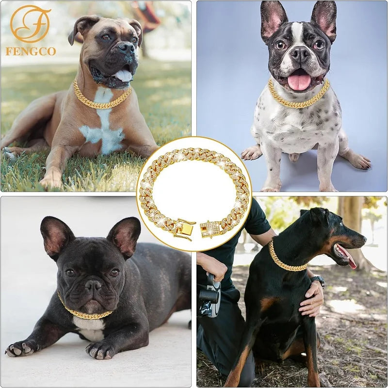 Dog Chain Collar- Luxury Gold Pet Metal Chain Collar-Sizes SML-Collars/Leashes