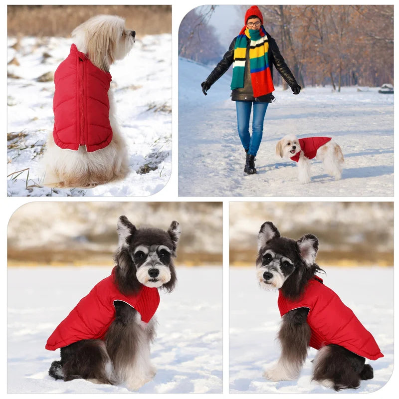 Winter Warm Dog Cotton Coats- Back Zipper- Windproof- Thickness Clothes for Small Medium Dogs Chihuahua French Bulldog Outfits