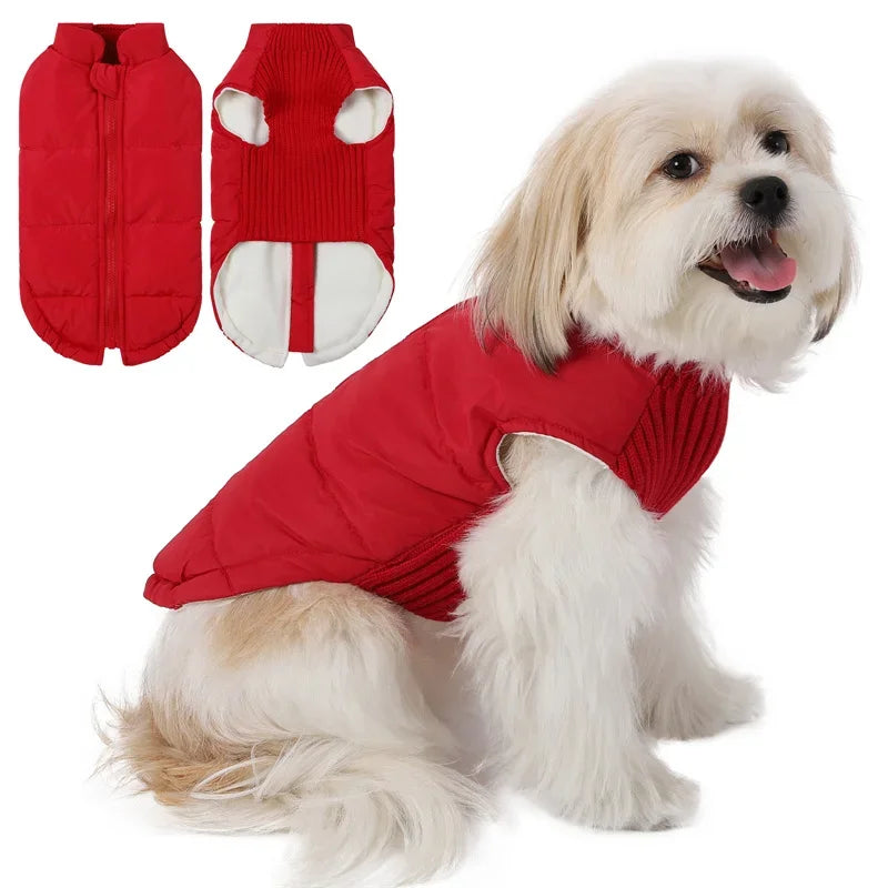 Winter Warm Dog Cotton Coats- Back Zipper- Windproof- Thickness Clothes for Small Medium Dogs Chihuahua French Bulldog Outfits