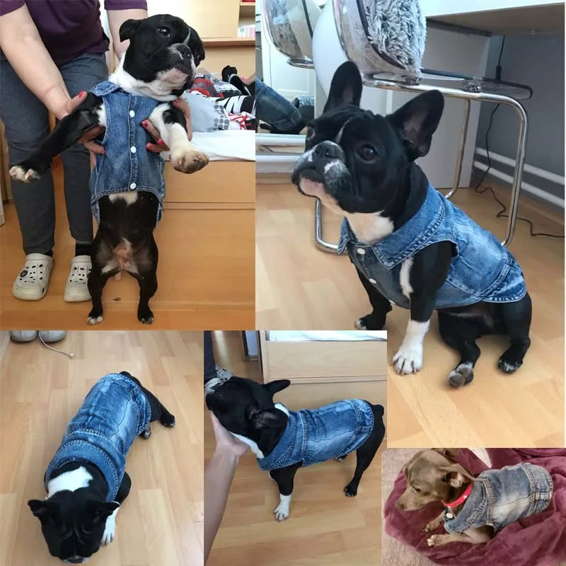 Retro Designer Dog Jeans Jackets Vest for Small Dogs- Handsome Denim Jacket- Durable- Sizes XS-XXL-Costumes/Apparel