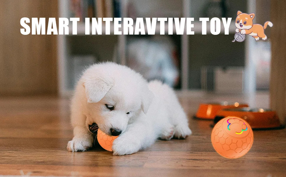 Smart Dog Ball Toy- Electronic Interactive Toy-USB Automatic Bouncing Rolling Toy Ball With RGB Lights-Dog Toys