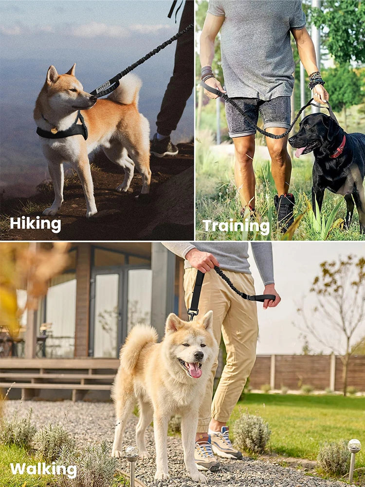 Military Dog Leashes- Adjustable Leash- Quick Release Elastic Rope With 2 Control Handle For Small/Medium Dogs-Collars/Leashes