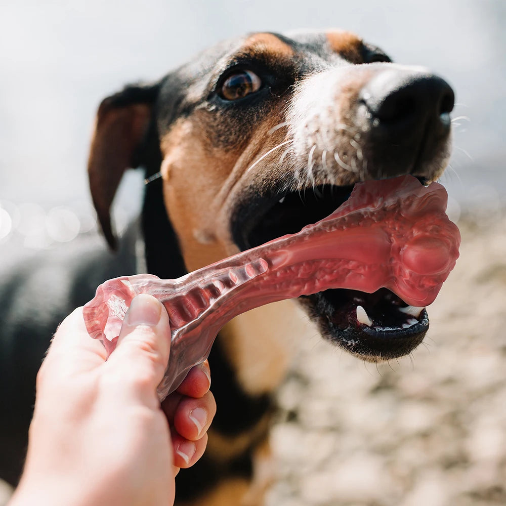 MASBRILL Dog Toys Aggressive Chewers small, Medium and Large Dogs Bone-Shaped Indestructible Dog Toys Nylon Interactive Dog Toys Teeth Cleaning