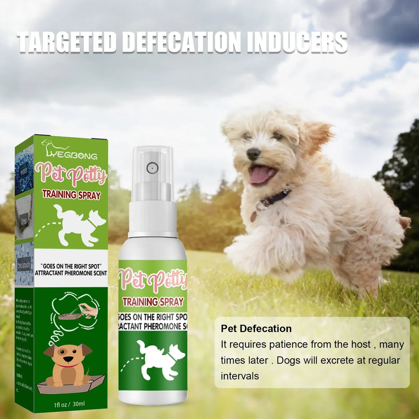 Toilet Training Spray-30ml- Induces Dog to go where you want- Urine Feces Positioning Trainer-Pet Grooming
