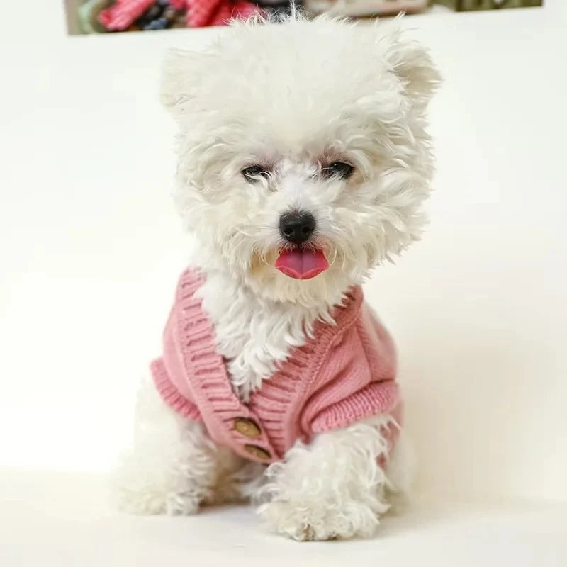 Cute Rabbit Sweater -Autumn Winter Dog Clothing- Warm Blue Sweater -Teddy Bichon Sweater For Small Dogs Pullover Cardigan