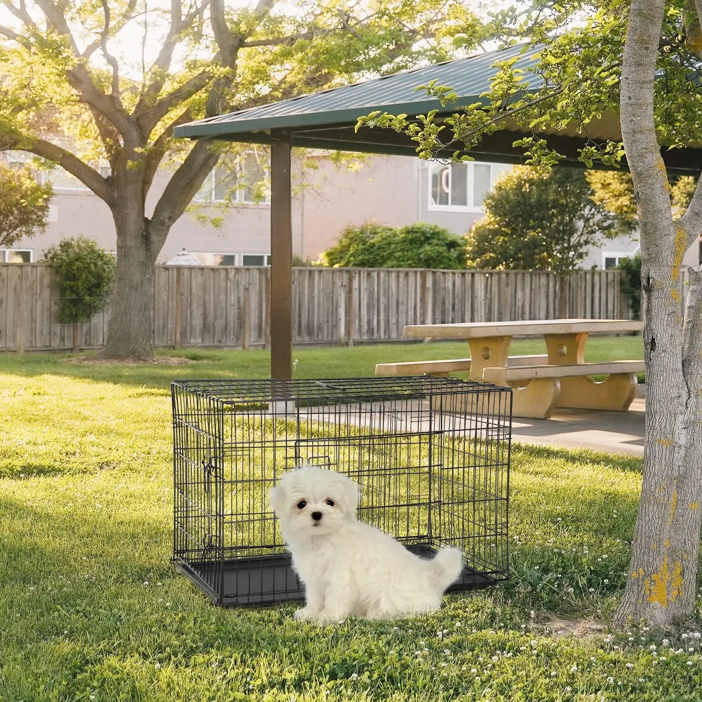 24 Inch Folding Metal Dog Crate for Small Pets- Double Door- Indoor /Outdoor Kennel with Leak-Proof Tray-Crates