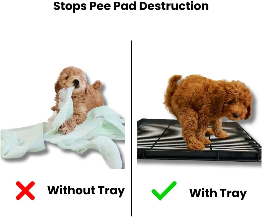 Puppy Potty Tray – 22x22 Shred-Proof Heavy-Duty Training Tray for Puppies & Small Dogs-Easy-Clean- Indoor Dog Pee Pad Holder