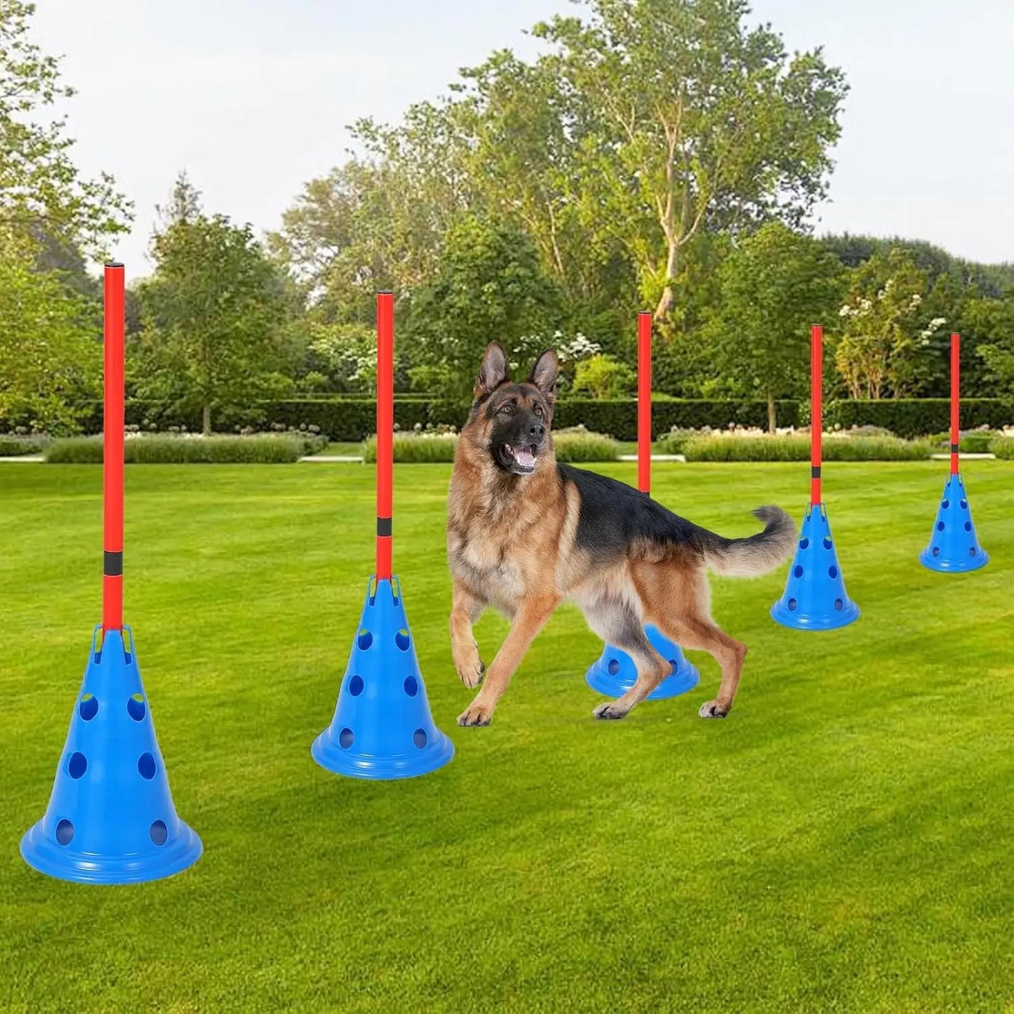 Dog Agility Hurdle Cone Set -Dog Agility Course Set with 12 Cones 6 Rods Dog Agile Training Equipment for Outdoor Backyard-Training