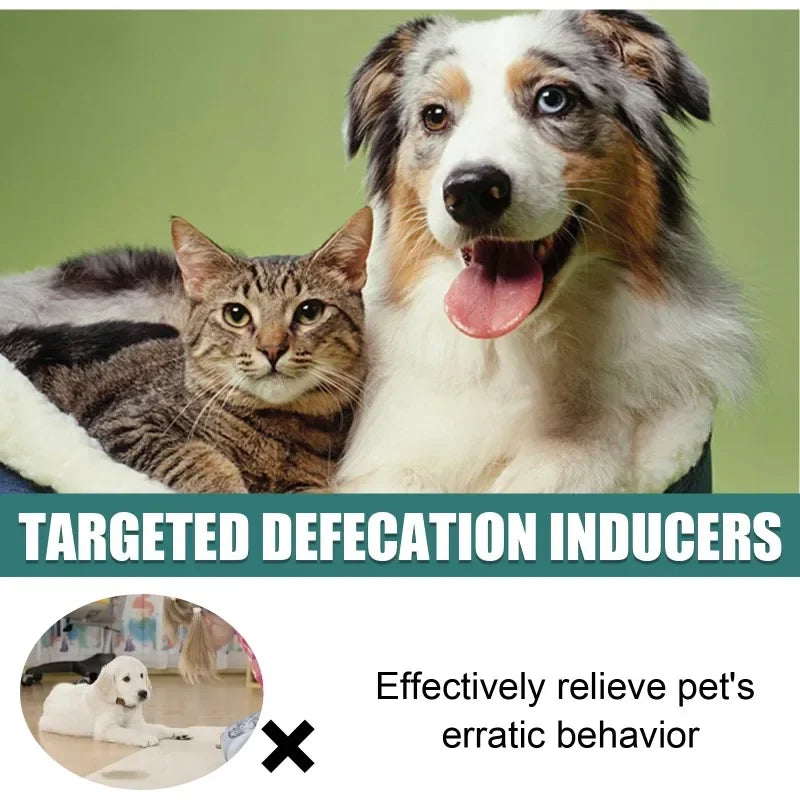 Toilet Training Spray-30ml- Induces Dog to go where you want- Urine Feces Positioning Trainer-Pet Grooming