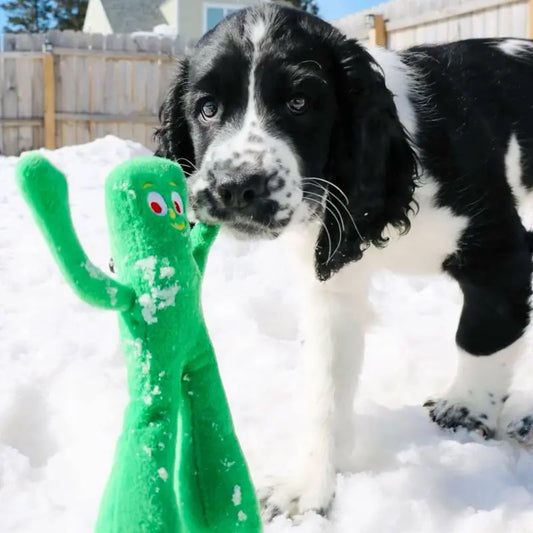 Gumby Plush Dog Toy with Squeaker for Puppy Small Medium Dogs- Soft Cuddle Chew -Fetch Play- Non Aggressive Chewers