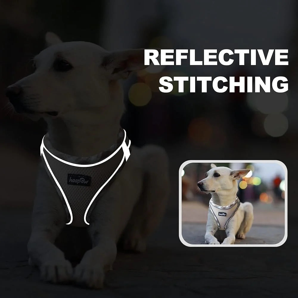 No Pull Dog Harness with Leash Set Adjustable Step-in Reflective Puppy Vest Durable Breathable Padded Extra Small Small