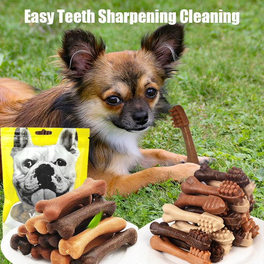 New Dog Bruxism Stick Toothbrush- Bone Shape -Fresh Natural Nutrition- Healthy -Adult Dogs Puppy Training Rewards-Snacks