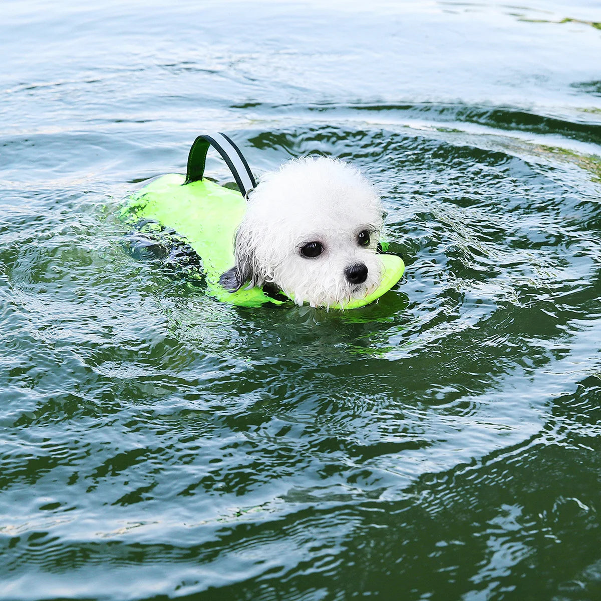 Summer Life Vest with Handle- Buoyancy Clothes-with  Head Rest- Reflective-Adjustable-Sizes XS-XXL-Pet Accessories
