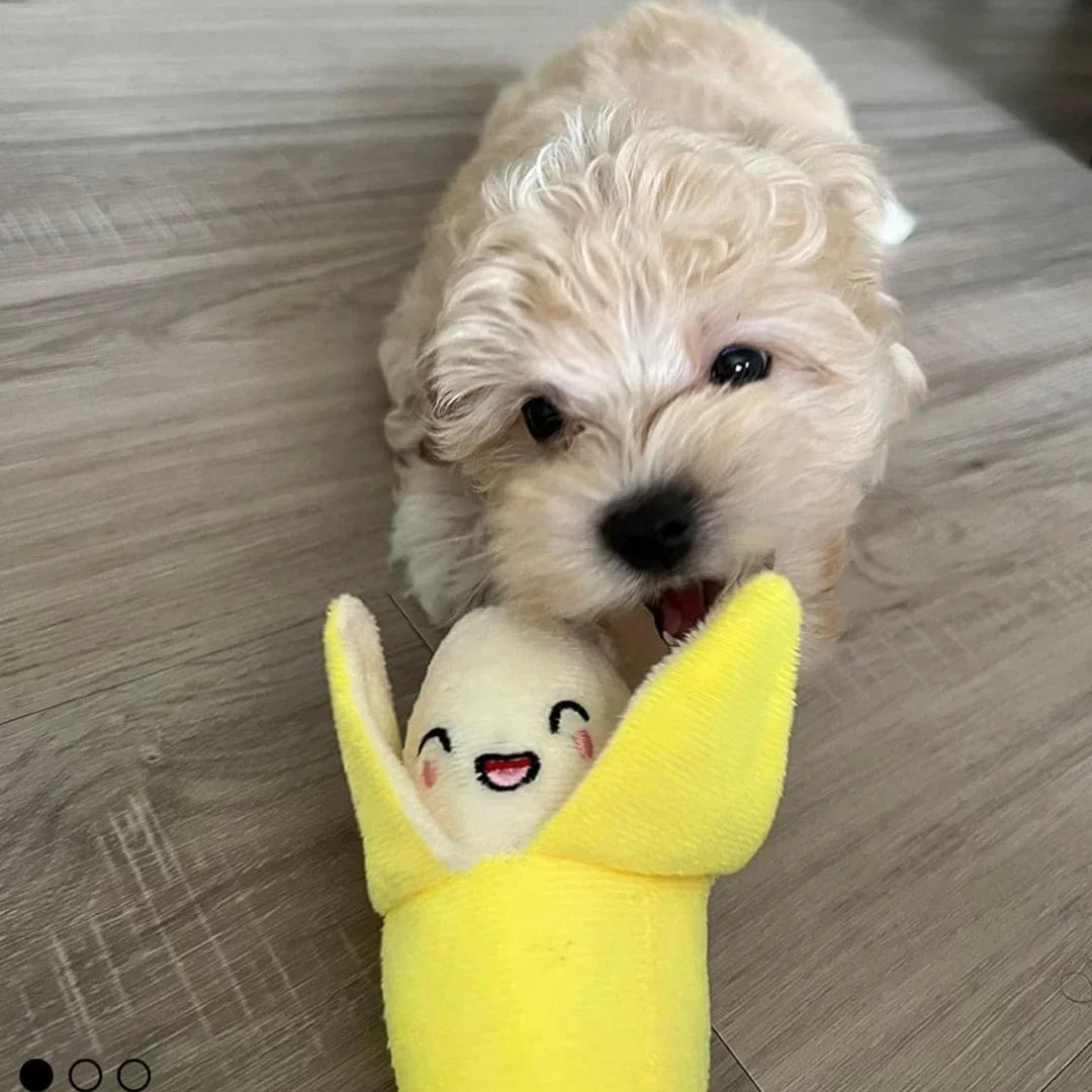 7pcs Set of Puppy Sound Toys-Plush- Chew Fruit Snacks/Vegetable Puppy Toys-Dog Toys