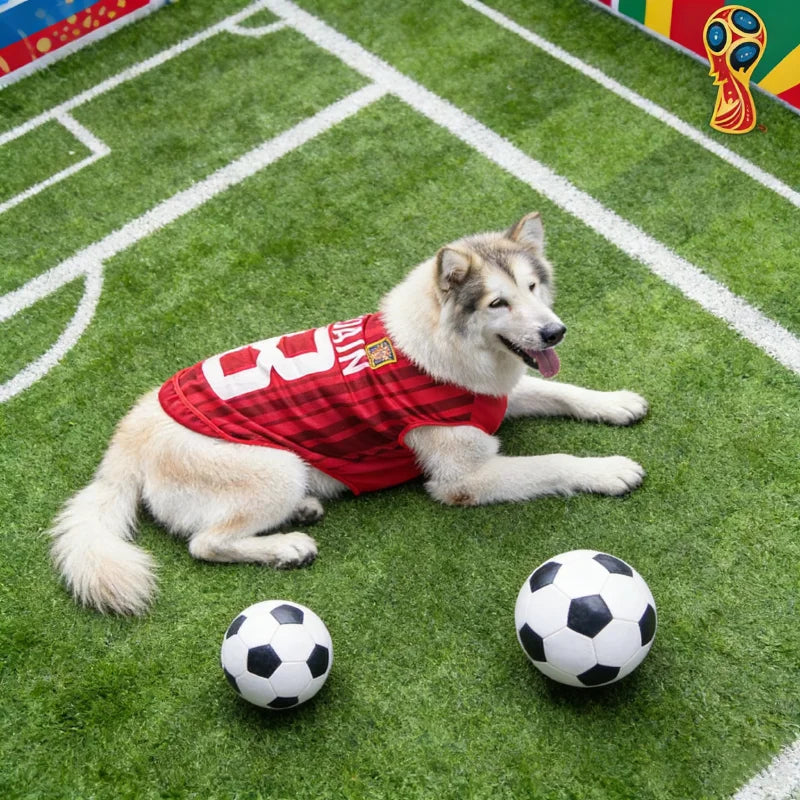 2026 Dog Soccer Jersey-Breathable Mesh-Thin Cool Summer T- Shirt- Sizes S-6XL-Soft- Quick Dry Vest-Costumes/Apparel