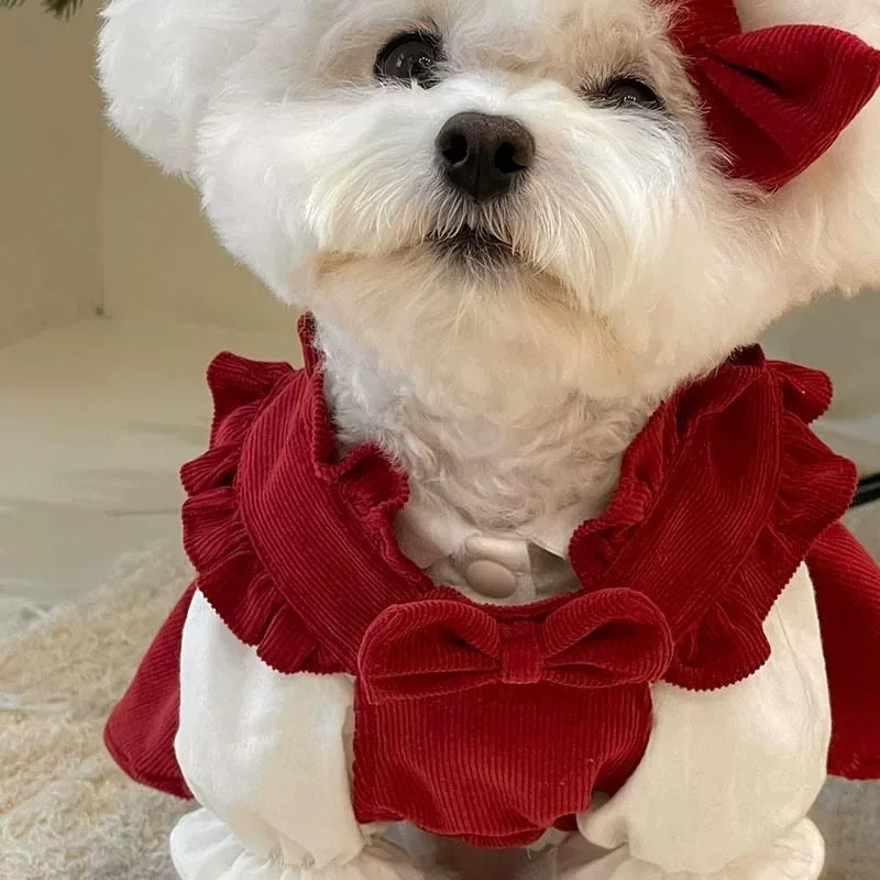 Christmas Princess Dress- Bow Knot -Winter Warm Dog Clothes