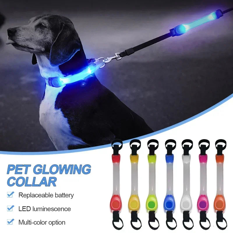 Waterproof Dog Anti-Lost Safety Glowing Collar-Multi-Color Pendants-Outdoor- LED Light Strip- Night Visibility-Collar/Leashes