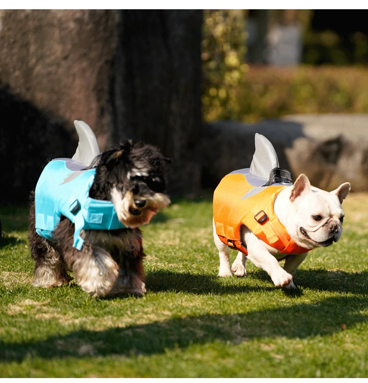 Dog Life Jacket- High Buoyancy -Dog Safety Vest with Rescue Handle-Sizes XS to XXL-Reflective- Swim Vest-Training