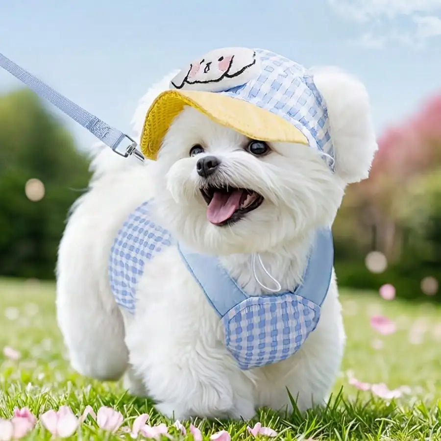 Adorable Hoodie Dog Harness Leash Set- Adjustable- Washable- Sizes S to XL-Collars/Leashes