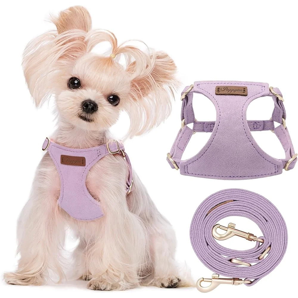Adjustable No Pull XXS Puppy Harness- Soft Escape Proof Pet Vest with Multifunctional Dog Leash- Lightweight Breathable Small Dogs