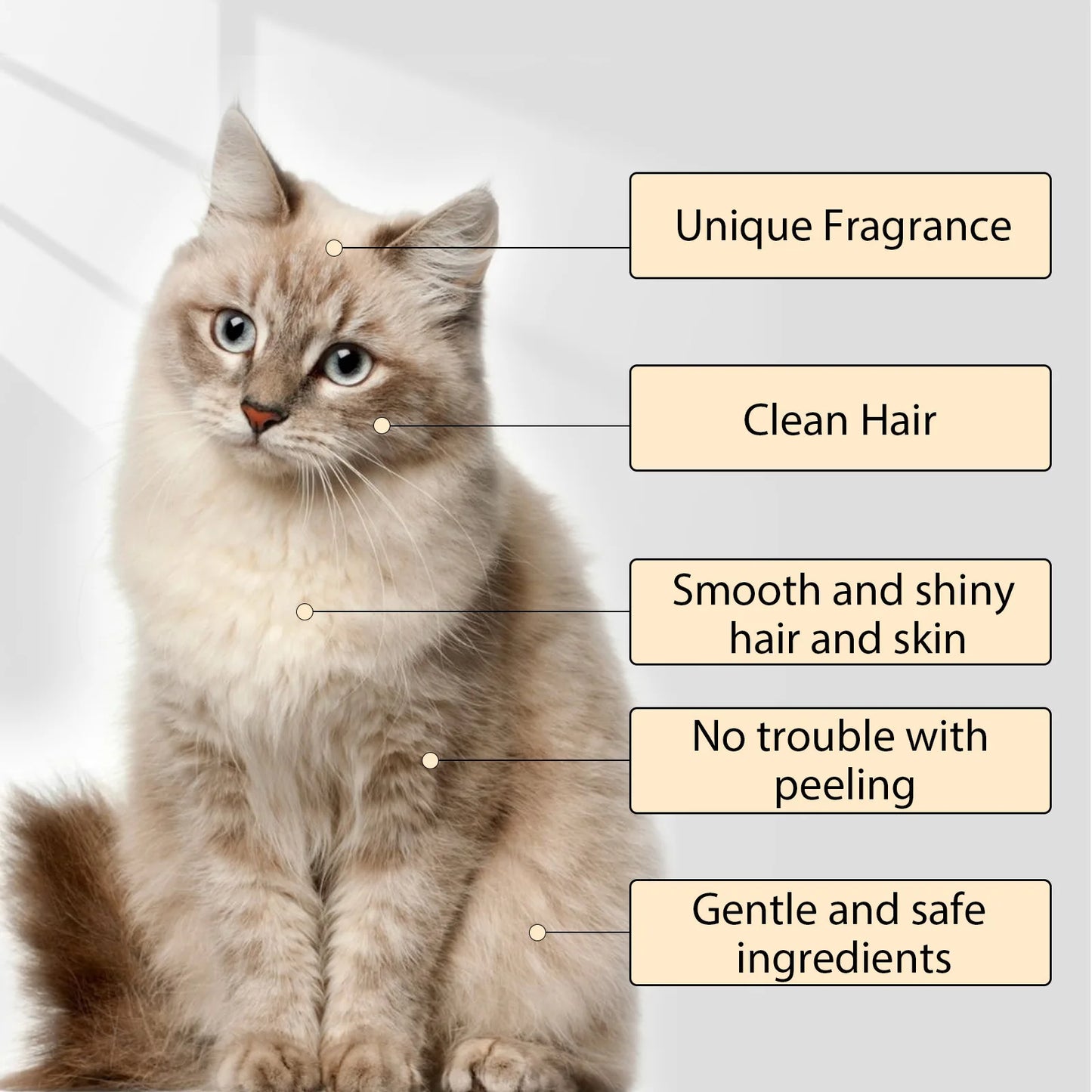 YEGBONG Dog Wash Shampoo- Flea & Mite Killer- Dirt Removal - Anti-Itch- Deodorizing & Moisturizing Formula for Softening Coat-Pet Grooming