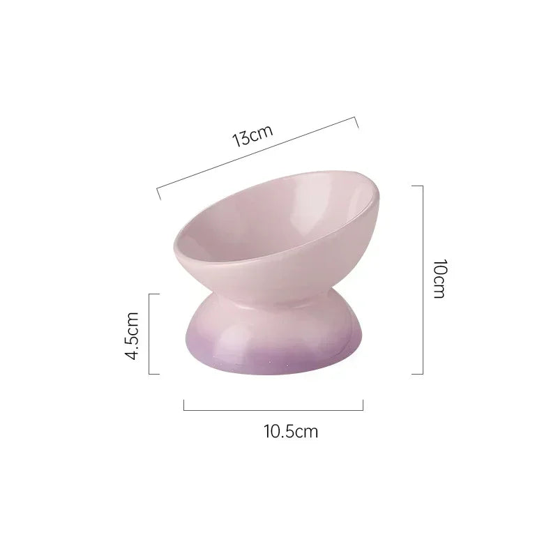 Tilted  Puppy Food  Feeders- Gradient Ceramic- Raised Eating Pet Dogs Drinking or Feeding- Small