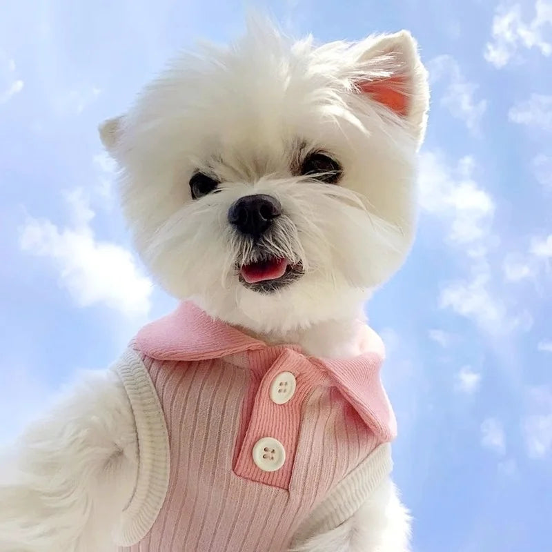 Summer Pet Dog Polo Shirt- Breathable Dog Clothes- Vest -Cute- Solid Shirt- Soft -Sizes XS-XXL- Costumes/Apparel