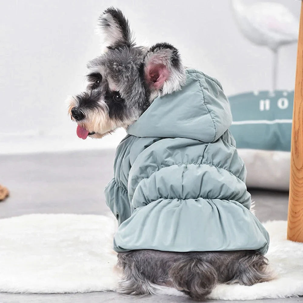 Winter Warm Dog Dress- Princess Bubble Skirt-Hooded Jacket-Costumes/Apparel