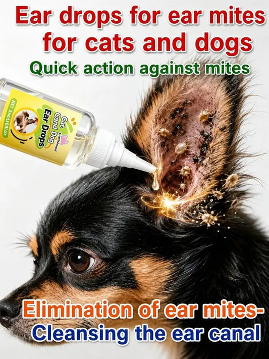 Ear mite treatment for Dogs-Pet Grooming