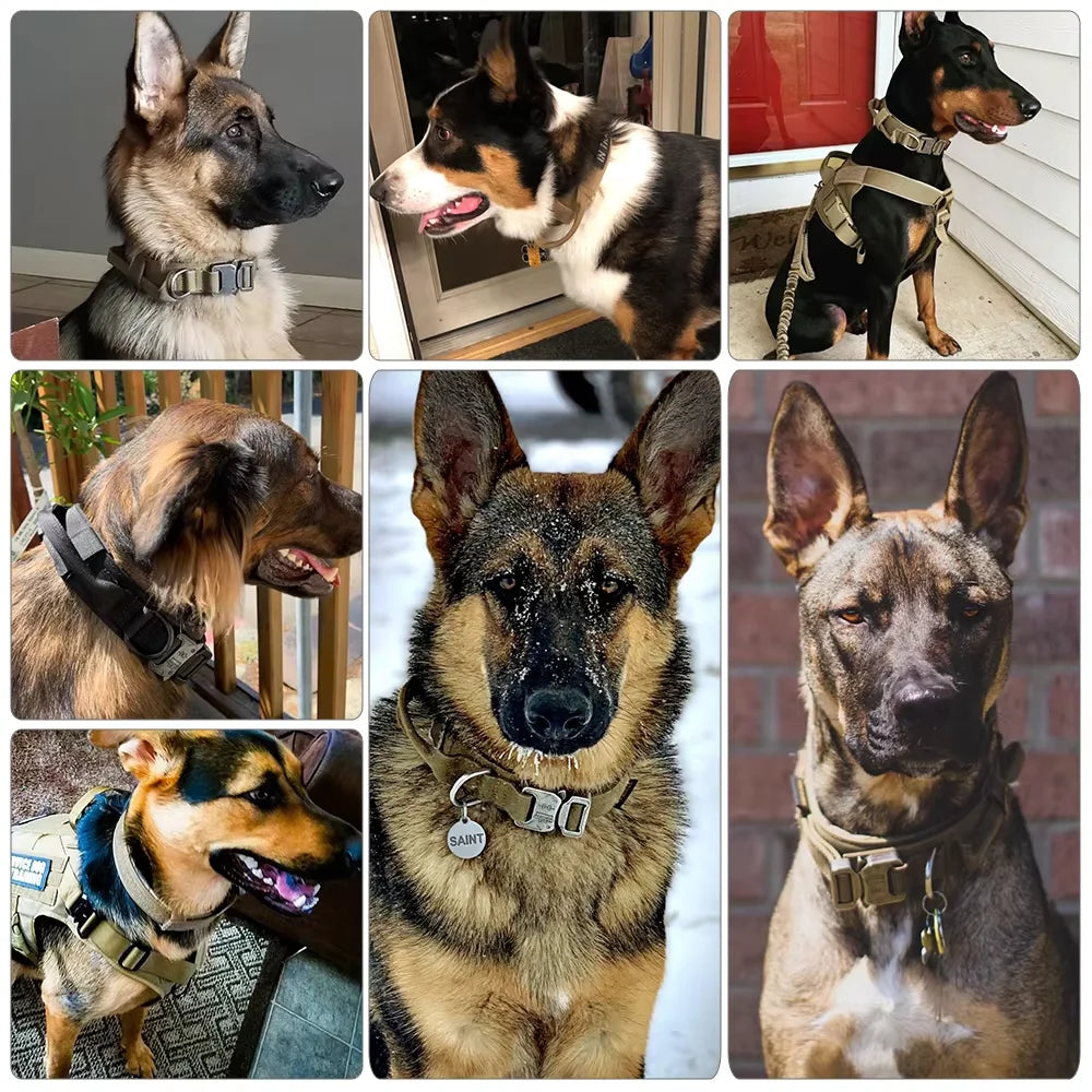 Dog Training Collar- Adjustable Tactical Dog Collar/ Leash Set- Control Handle-Lead Collar For M to XL Dogs-Collars/Leashes