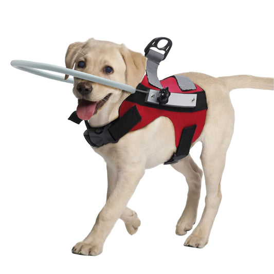 Blind Dog Halo Harness- Anti-Collision Blind Halo Ring for 11"-20"- Small and Medium Visually Impaired Pets
