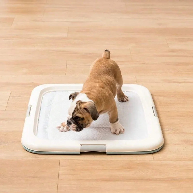 Dog Potty Pad Holder - Fits 23"L X 22.75"W Pads 1.37"H- For Puppy Housebreaking-Training