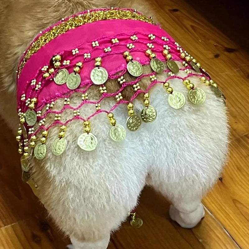 Corgi Belly Dance Hip Towel- Decorative Belt- Dog Skirt-Costumes/Apparel