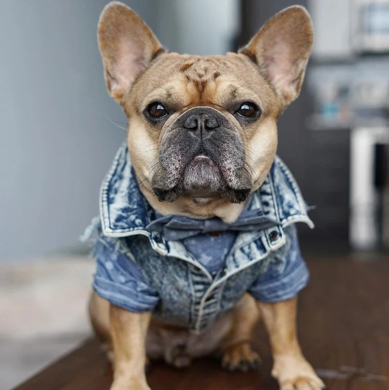 Dog Denim Vest Jacket-Sizes S-3XL-Costumes/Apparel