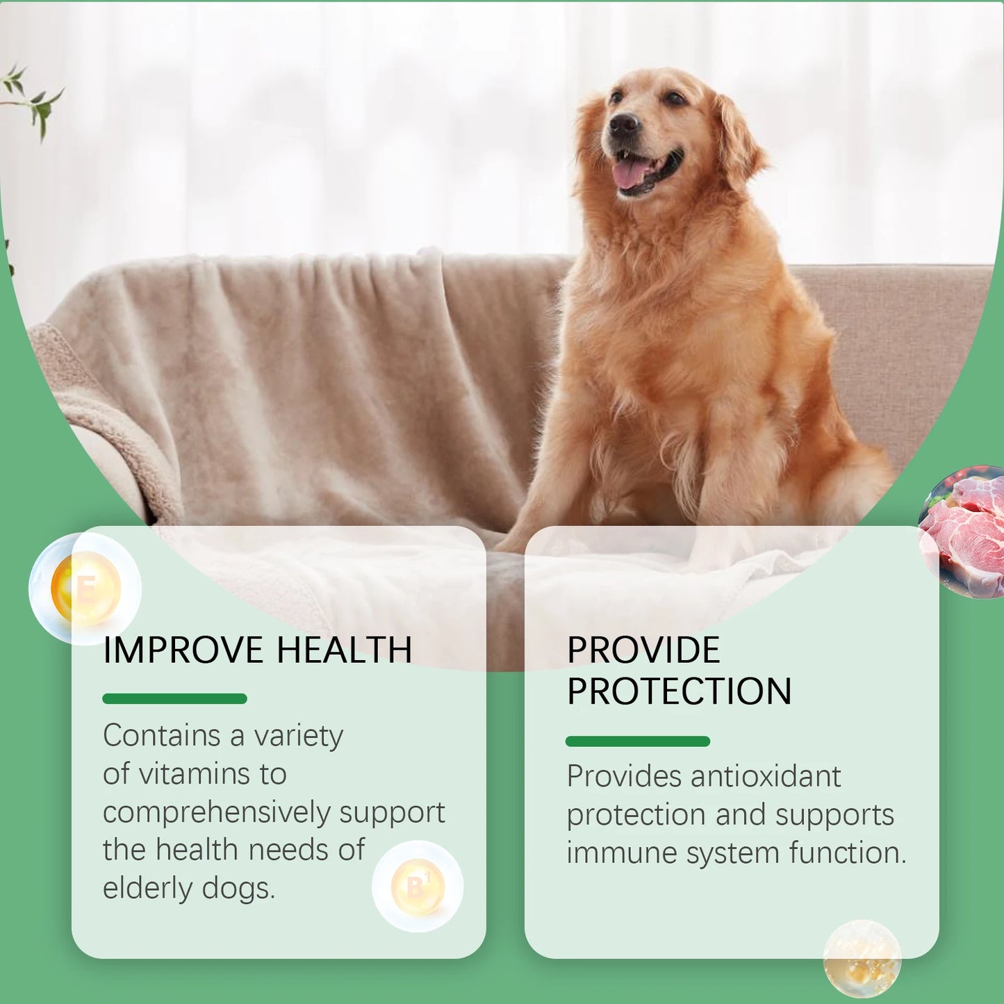 Senior Dog Multivitamin Tablets Nutrition- Promote Pet Metabolism- Boosting Immunity -Keep Healthy Vitamins Supplement- 80 Tablets-Pet  Grooming
