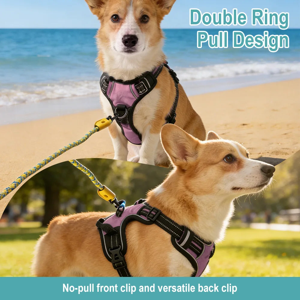 Pet Reflective Nylon Dog Collars Harness Vests Leash- Adjustable- Suitable for Small, Medium/Large Dogs-Collars/Leashes