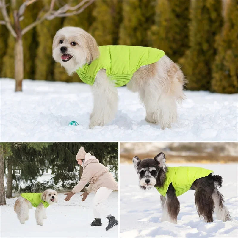 Winter Warm Dog Cotton Coats- Back Zipper- Windproof- Thickness Clothes for Small Medium Dogs Chihuahua French Bulldog Outfits