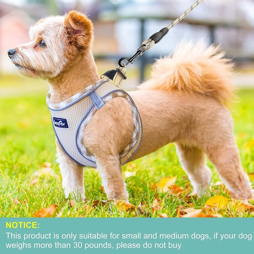 No Pull Dog Harness with Leash Set Adjustable Step-in Reflective Puppy Vest Durable Breathable Padded Extra Small Small