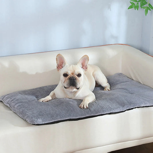 Heated Sleeping Mat- Cute Pet Mat Blanket-Sleeping Mat Small Dogs