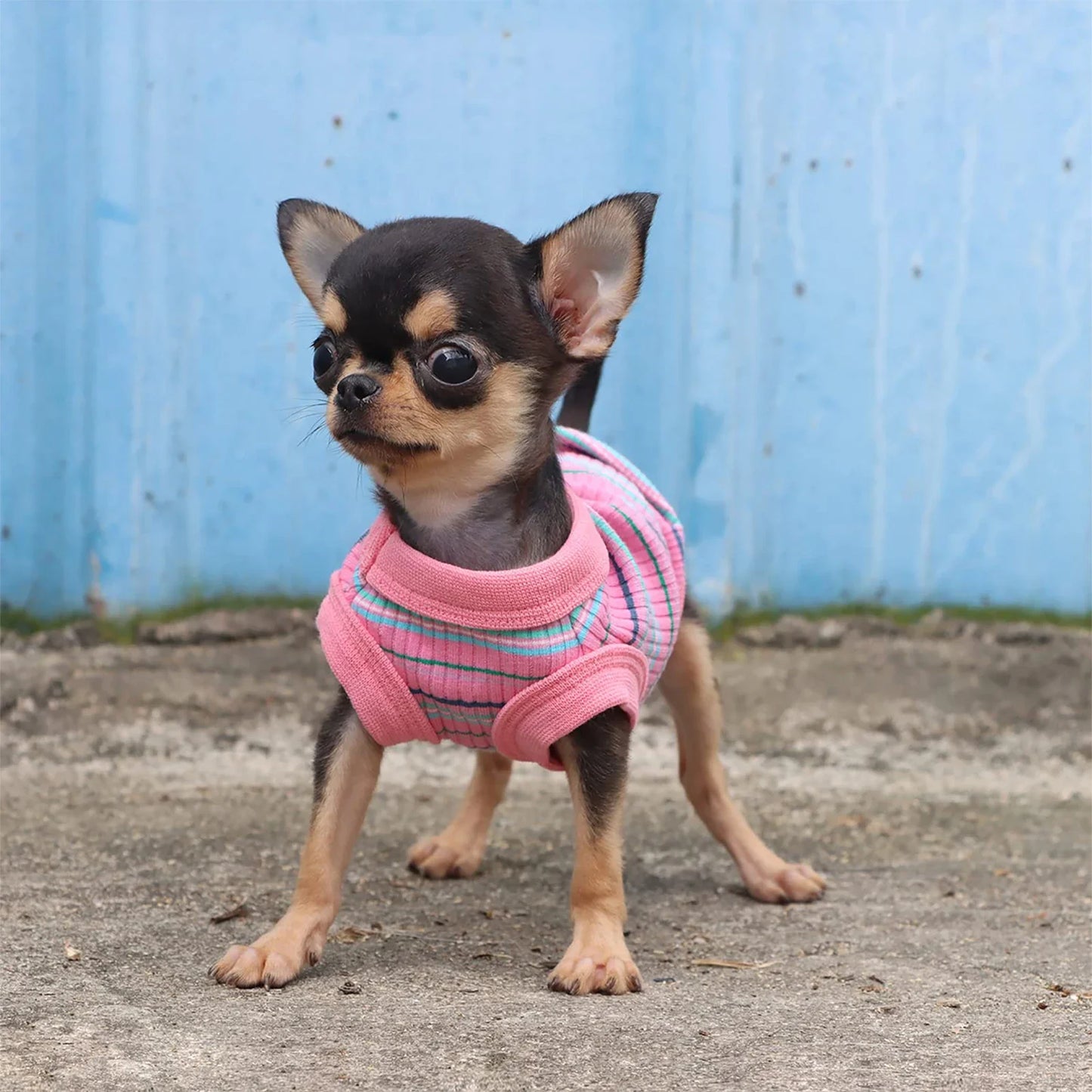 Rib Dog Shirt -Vest for Small Dogs Chihuahua Puppy Clothes Tank Tee-Pink-Sizes XS to 2XL-Costumes/Apparel