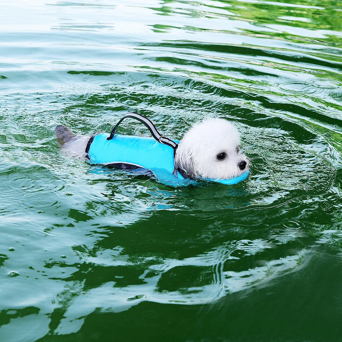 Summer Life Vest with Handle- Buoyancy Clothes-with  Head Rest- Reflective-Adjustable-Sizes XS-XXL-Pet Accessories