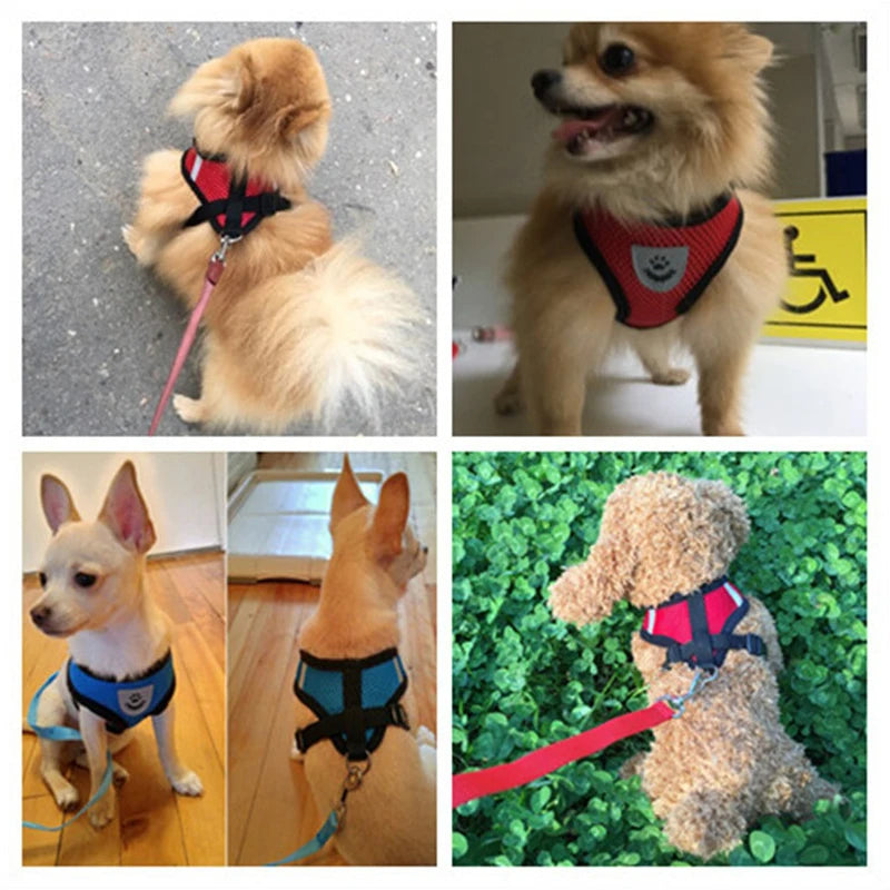 Dog Harness Walking Lead Leash-Polyester- Adjustable Mesh-sizes S to XL-Collars/Leashes